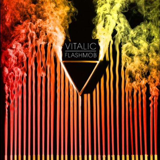 Vitalic Flashmob CD