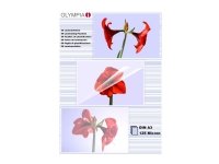 OLYMPIA - A3 (297 x 420 mm) 100 stk laminert teip OLYMPIA - A3 (297 x 420 mm) 100 stk laminert teip