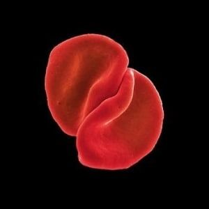 Bengans Peter Gabriel - Scratch My Back