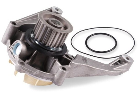 HEPU P1729 Vannpumpe