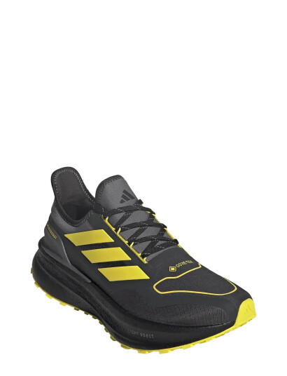 Adidas Performance Ultraboost 5 Gtx Black 46 2/3