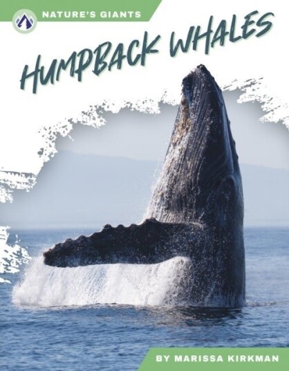 Humpback Whales Humpback Whales