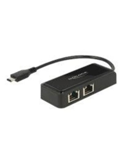 DeLOCK Adapter USB C 3.1 Gen 1 > 2 x Gigabit LAN 10/100/1000 Mb/s 63927
