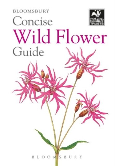 Concise Wild Flower Guide Av Bloomsbury