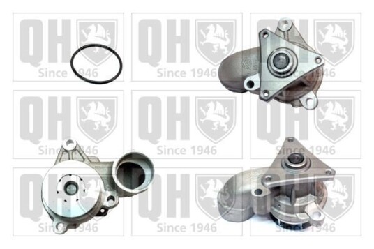 QUINTON HAZELL QCP3688 Vannpumpe