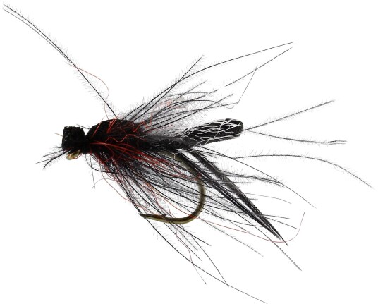 Flies Bibio Pomonae Black Black