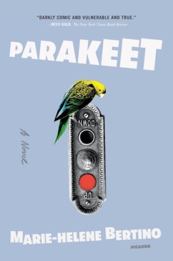 Parakeet Parakeet