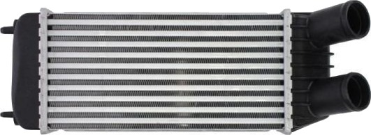 Intercooler THERMOTEC DAP006TT