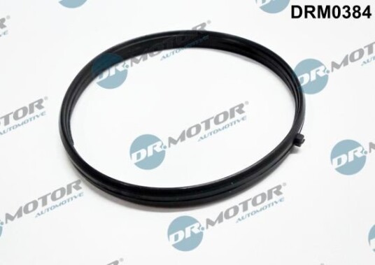 Tetning innsugningsmanifold Dr.Motor Automotive DRM0384