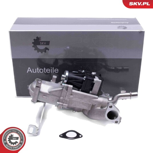 EGR Ventil ESEN SKV 14SKV250