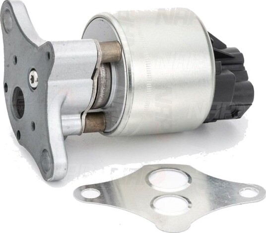 EGR ventil NAP carparts CAV10001