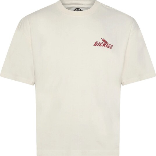 Dickies Shonto Ss Tee   EGRET   XL