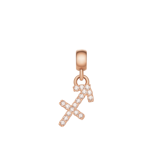 Daniel Wellington DW Charm Zodiac Rose Gold Daniel Wellington DW Charm Zodiac Rose Gold