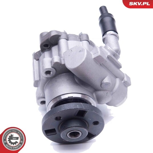 Servopumpe ESEN SKV 10SKV246