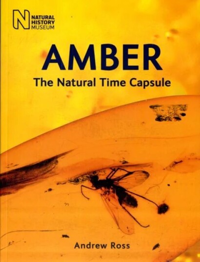 Amber Av Andrew Ross Amber Av Andrew Ross