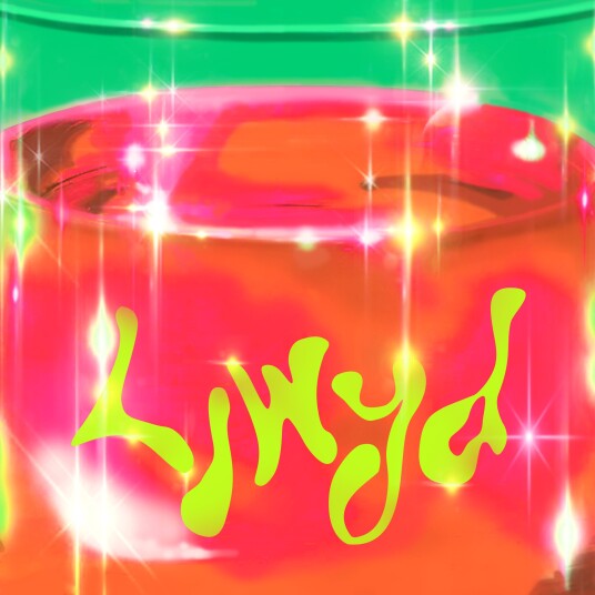 Llwyd Luminous (Incl. Booklet) CD Llwyd Luminous (Incl. Booklet) CD