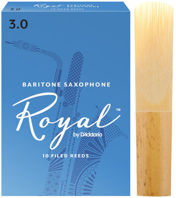 Daddario Woodwinds Royal Baritone Sax 3