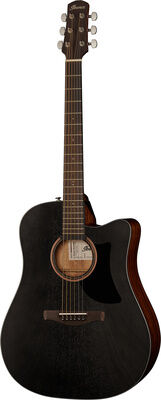 Ibanez AAD190CE-WKH