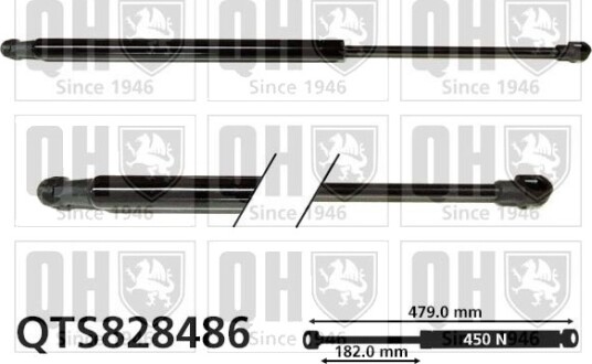 QUINTON HAZELL QTS828486 Baklukedemper
