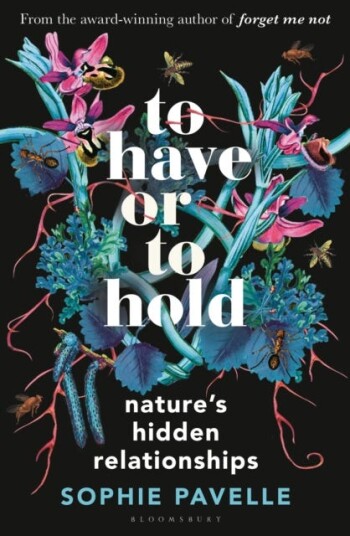 To Have or To Hold Nature's Hidden Relationships