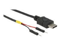 Delock - USB/strøm-kabel - 24 pin USB-C (hann) til 2-pins USB-header (hann) separat - 20 cm - svart