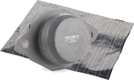 RIDEX 247E0022 Motorfeste