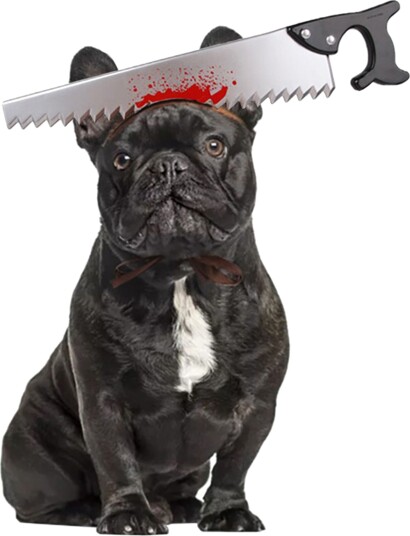 Catsson Halloween Props for Hunder Sag 65351-1
