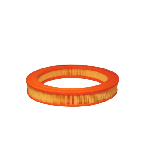 Luftfilter FILTRON AR 210