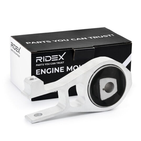 Motorfeste RIDEX 247E0650