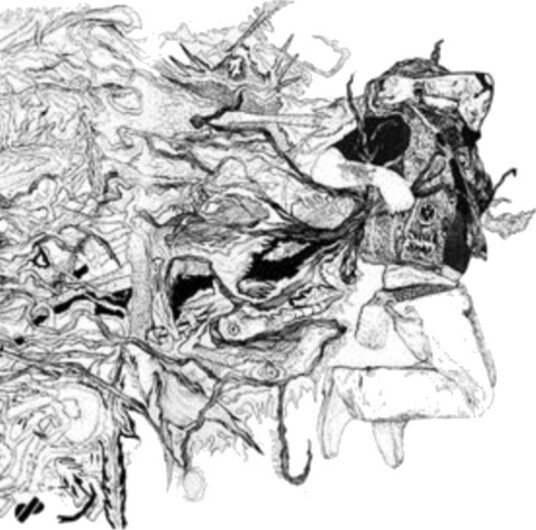 Lumen Lab They Are Killing Us CD