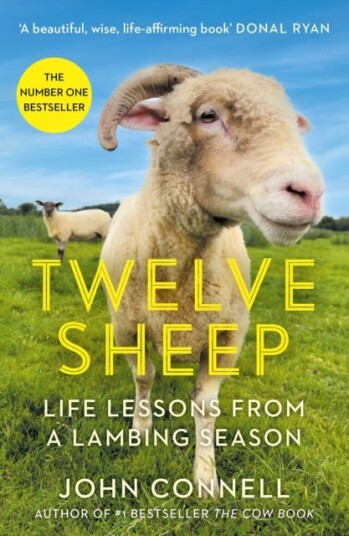 Twelve Sheep Life lessons from a lambing season