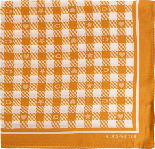 Coach Dame Accessories Oransje ONE SIZE,