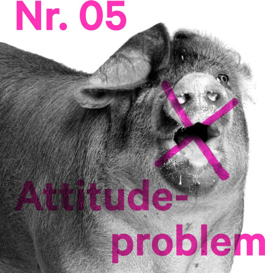 Attitudeproblem