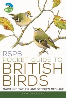 Rspb Pocket Guide To British Birds Av Marianne Taylor