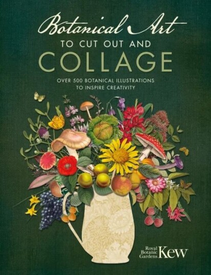 Botanical Art To Cut Out And Collage Av Kew Royal Botanic Gardens