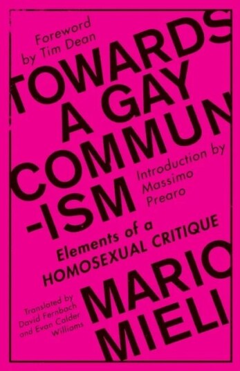 Towards A Gay Communism Av Mario Mieli