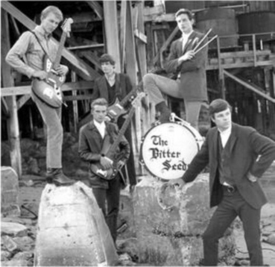 The Bitter Seeds The Rock Shop State Of Your Mind Uk Vinyl