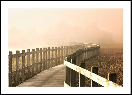 The Path gets brighter. Plakat / 70x100cm The Path gets brighter. Plakat / 70x100cm