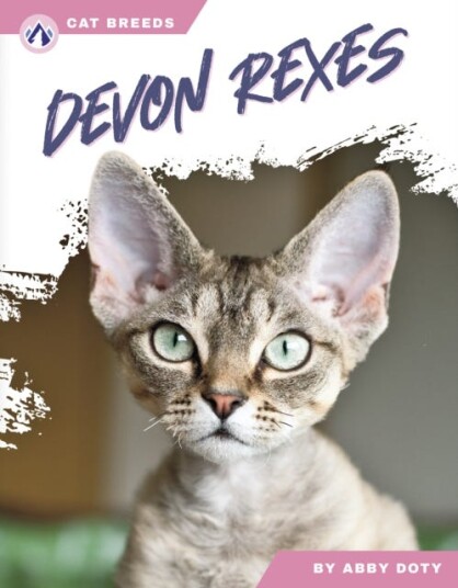 Cat Breeds: Devon Rexes Cat Breeds: Devon Rexes