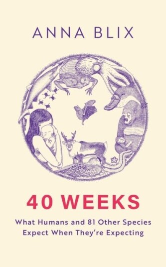40 Weeks 40 Weeks