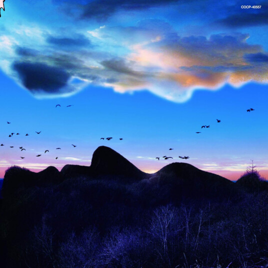Kirinji Super View Limited Edition CD