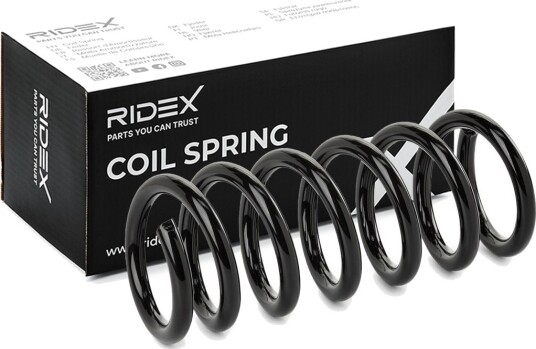 RIDEX 188C0899 Fjær
