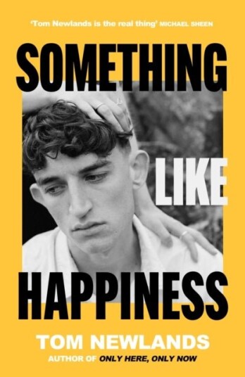 Something Like Happiness Something Like Happiness