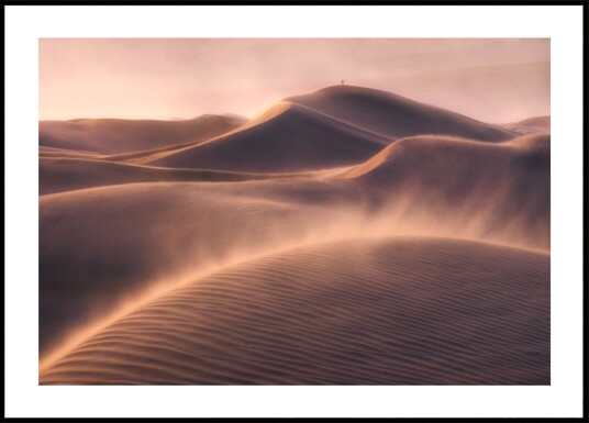 Golden Desert Solitude Plakat / 21x30 Golden Desert Solitude Plakat / 21x30