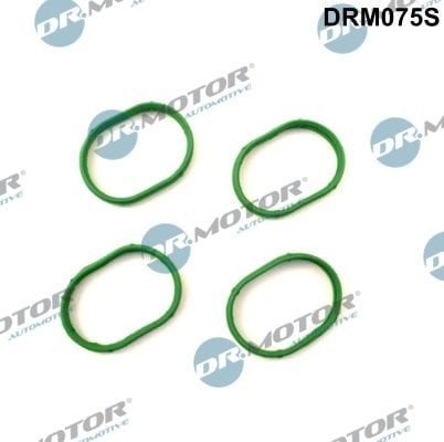 Tetning eksosmanifold Dr.Motor Automotive DRM075S