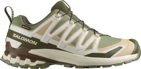 Salomon Men's Xa 3d Pro V9 Gore-tex Deep Lichen Green/safari/dark Earth 44|44 2/3 Salomon Men's Xa 3d Pro V9 Gore-tex Deep Lichen Green/safari/dark Earth 44|44 2/3