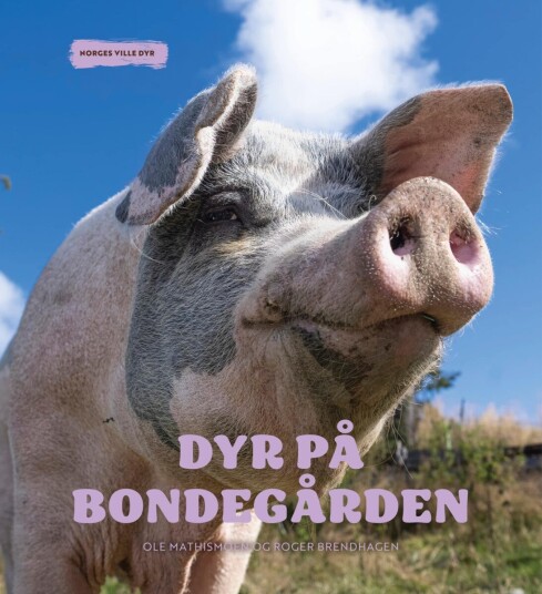 Dyr på bondegården Dyr på bondegården