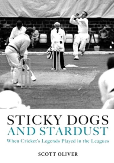 Sticky Dogs And Stardust Av Scott Oliver