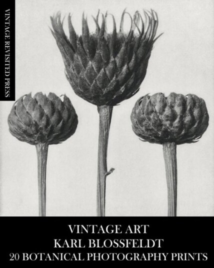 Vintage Art