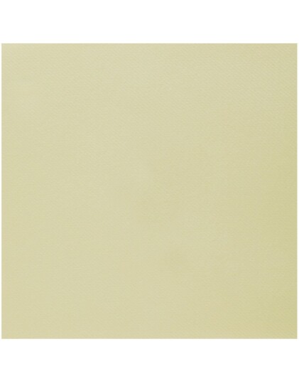 Santex Champagne Servietter 25 stk